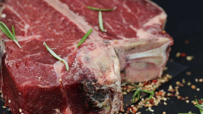 Ilustrasi daging sapi
