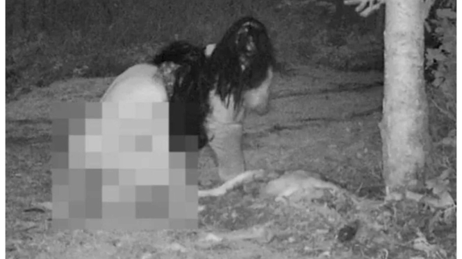 2 Penyirih Berpakaian Minim Sedang Makan Bangkai Rusa 
