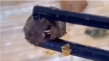Kepala Tikus