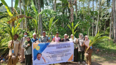 Ditjenbun Intens Monitor Progress Nurseri Perkebunan