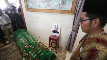 Desmond Junaidi Mahesa Meninggal Dunia