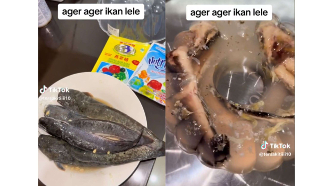 Viral puding ikan lele