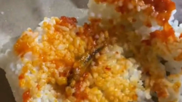 Viral Beli Nasi Kucing Terinya Cuma 1