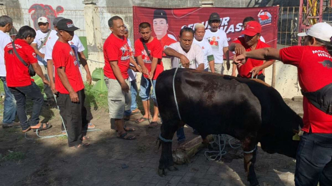 Relawan Pendukung Herviano Lakukan Penyembelihan Hewan Kurban