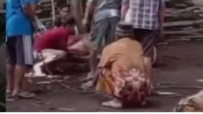 Pria meninggal Saat Lihat Sapi Kurbannya Disembelih