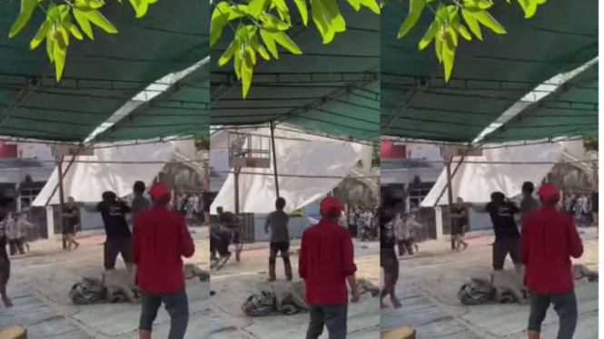 Sapi Mengamuk Hingga Rubuhkan Tenda