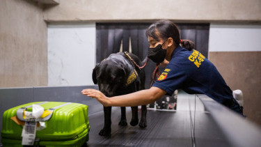 Pusat Pelatihan Anjing Pelacak Bea Cukai
