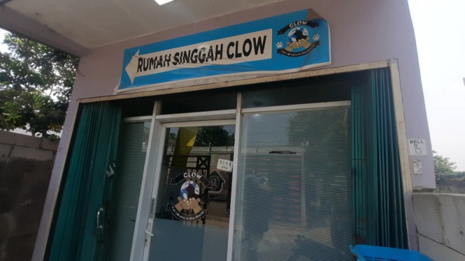 Yayasan Rumah Singgah Glow untuk kucing dan anjing di Parung, Bogor