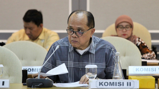 Wakil Ketua Komisi II DPR RI, Junimart Girsang