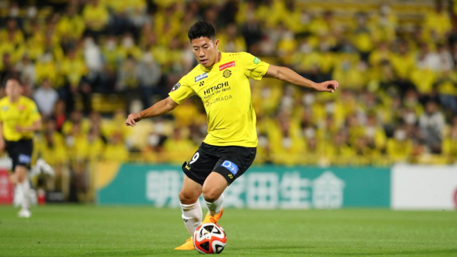 Mao Hosoya