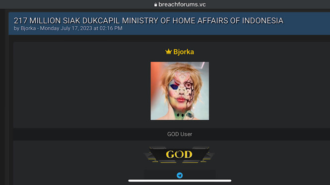 217 juta data SIAK Dukcapil Kemendagri dibocorkan aktor Bjorka.