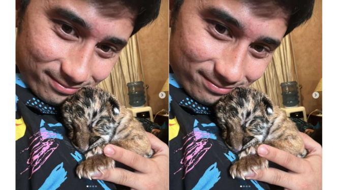 Anak Harimau Alshad Ahmad