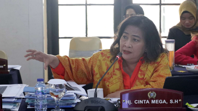 Anggota Komisi C DPRD DKI Fraksi PDIP, Cinta Mega