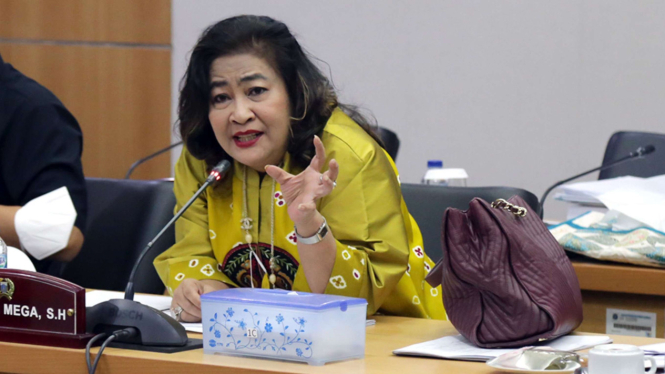 Anggota Komisi C DPRD DKI Fraksi PDIP, Cinta Mega