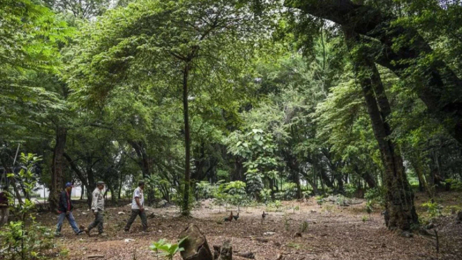 Hutan Kota UKI