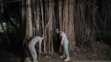 Hutan Kota UKI