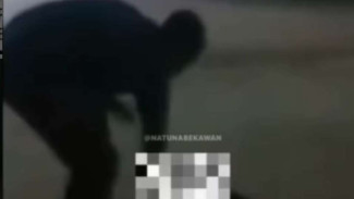 Viral Gerombolan Pemuda Banting Anjing Hingga Tewas, Netizen Geram