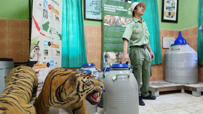 Bank sperma satwa eksotis di Taman Safari Bogor.