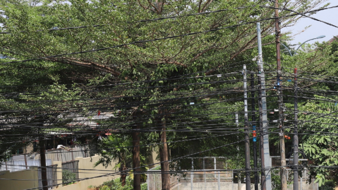 Kabel Semrawut Bikin Bahaya Pengendara