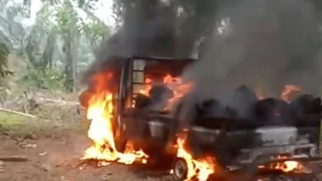 Bentrok warga di perkebunan sawit Pesisir Barat, Lampung