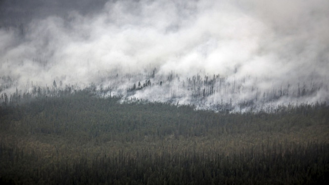 Kebakaran hutan meluas di Northwest Territories, Kanada, Kamis 17/8