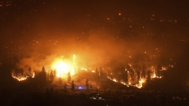 Kebakaran hutan di West Kelona, Kanada, Jumat (18/8)