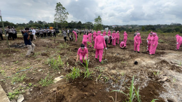 Polresta Kubar dan bhayangkari menanam bibit durian