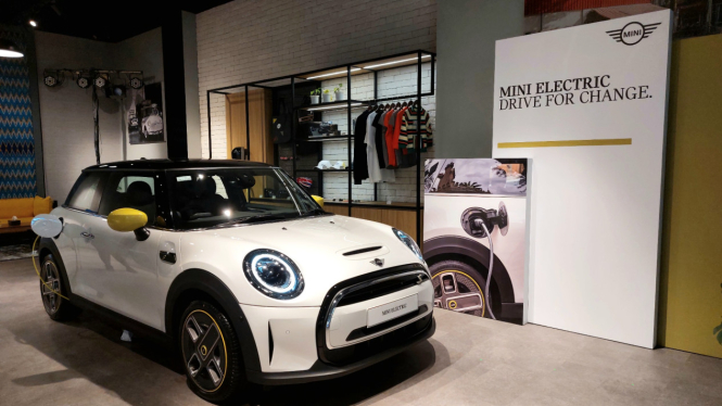 Mini Electric 