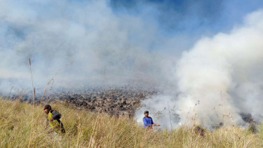 Padang Savana Bromo terbakar.
