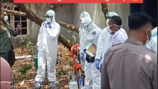 Heboh Bau Bangkai Meresahkan Warga Tangerang, Ternyata Ribuan Kelelawar Mati