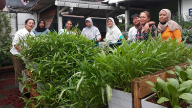 Urban Farming