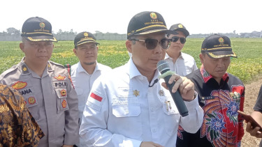 Wamentan Harvick Hasnul Qolbi usai meninjau tanaman kedelai di Karawang