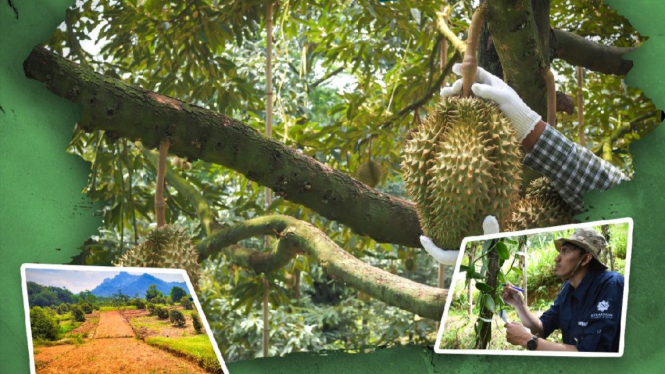 Agrowisata Edukasi Granada Garden Ville (GGV)