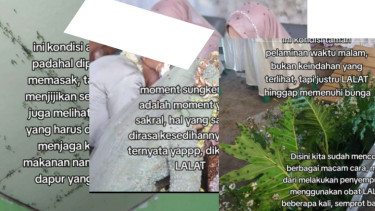 Viral Ratusan Ribu Lalat Kacauakan Pesta Pernikahan