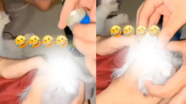 Viral, Tiga Orang Wanita di Padang Cekoki Kucing dengan Miras