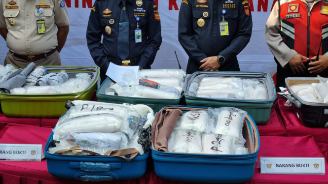 Bea Cukai Soetta gagalkan penyelundupan benih lobster ke Singapura