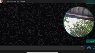 Pesan video di WhatsApp.