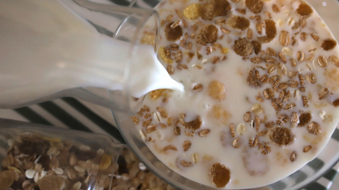 Ilustrasi susu, gandum dan oatmeal