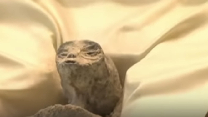 Kerangka alien di Meksiko.