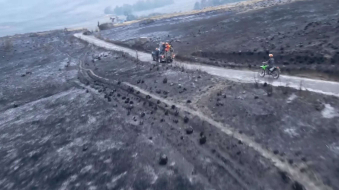 Penampakan savana di kawasan Bromo pasca terbakar akibat flare prewedding