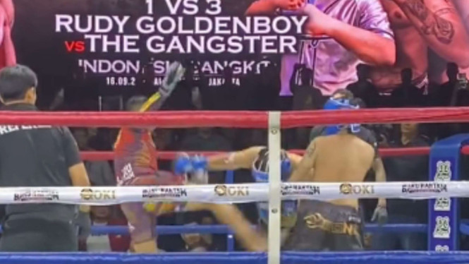 Rudy Golden Boy