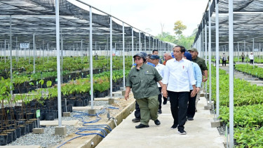 Presiden Jokowi meninjau persemaian Mentawir di IKN Nusantara