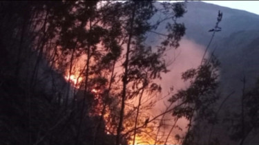 Kebakaran Hutan di Lereng Gunung Merbabu Boyolali, Jawa Tengah