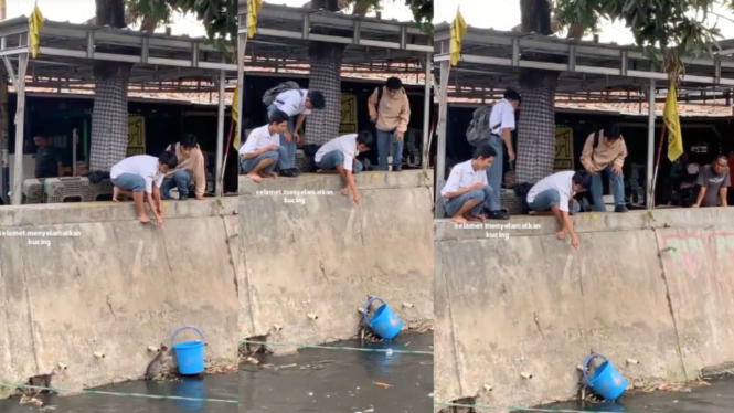 Viral Momen Pelajar Selamatkan Kucing