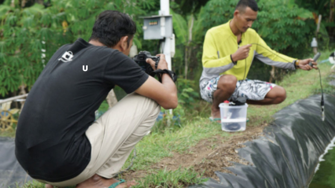 Cegah Petani Udang Gagal Panen, Paundra Noorbaskoro Buat Sensor Kualitas Air