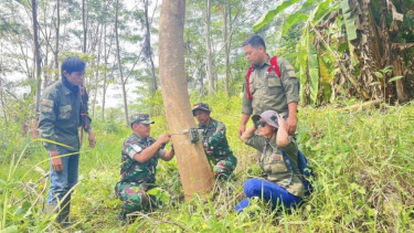 VIVA Militer: Prajurit Kostrad cari jejak Macan Tutul Jawa di Gunung Sanggabuana