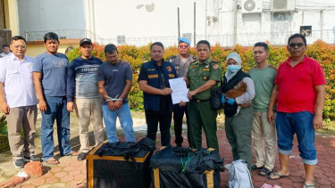 Pelaku perdagangan orangutan saat diamankan Polda Sumut.