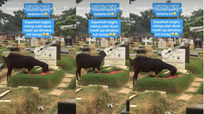 Kambing Makan Bunga Kuburan Glenn Fredly