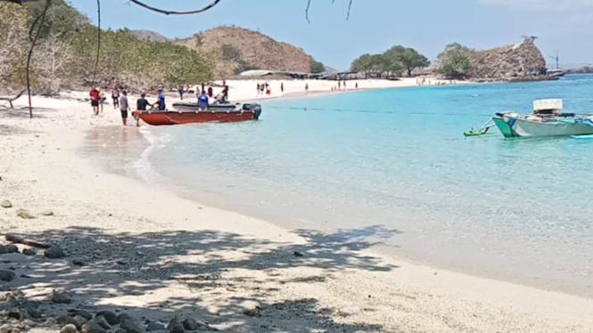 Tim SAR mencari turis Yi Liu di permukaan pantai Long Pink Beach, Labuan Bajo