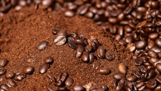 Ilustrasi kopi